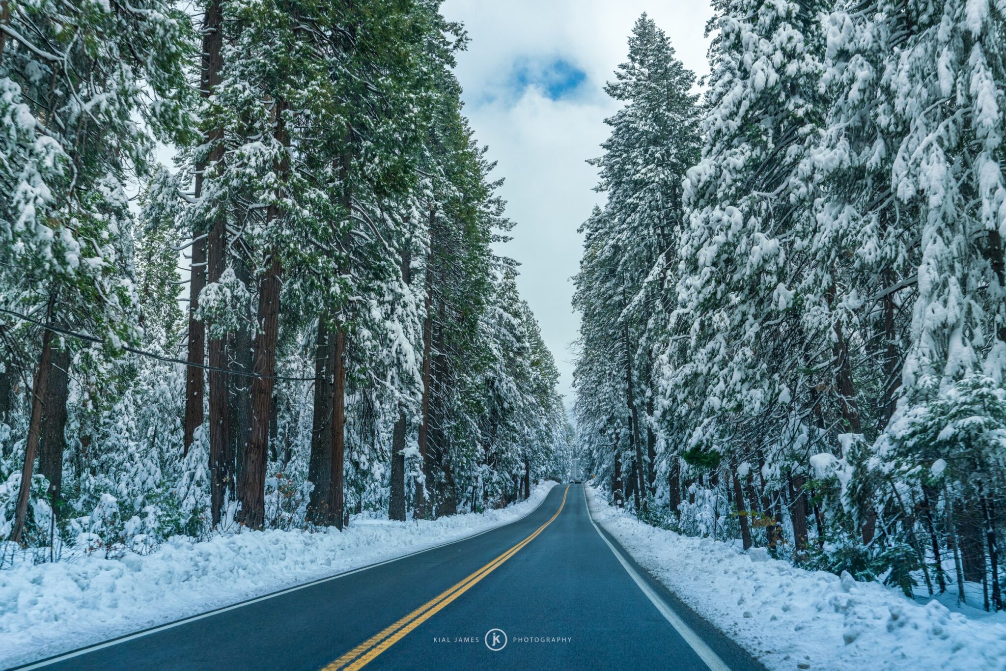 Snow-covered forest along the Highway 20 corridor east of Nevada City